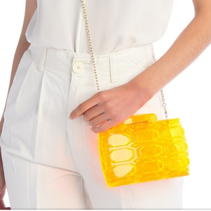 NWT Neon orange bag acrylic Pink Haley